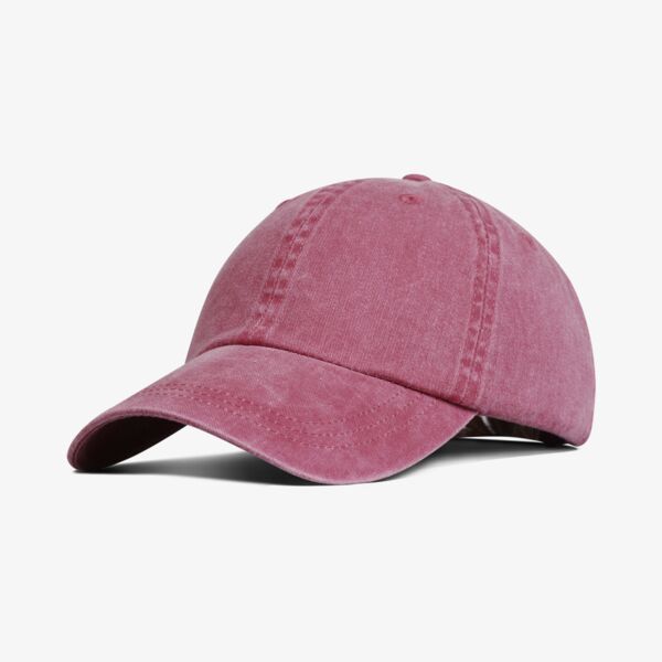 FARENHEIT PIG DYE CAP Thumbnail